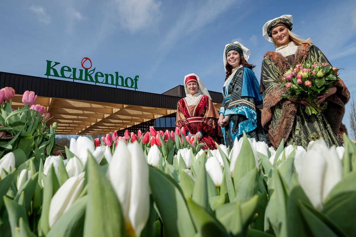 Фото Keukenhof
