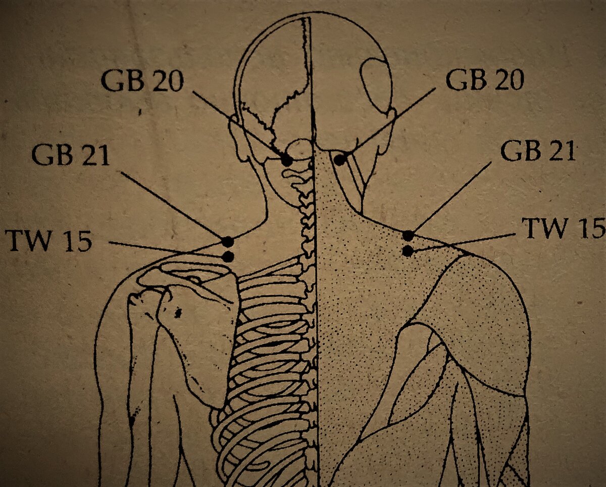 Из личного источника, подаренного мне внуком китайского специалиста по акупунктуре 