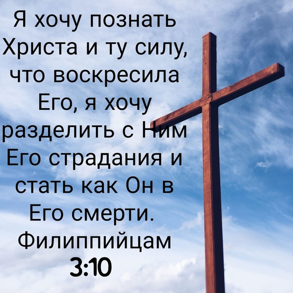 Картинка к статье взята из сети интернет, в свободном доступе