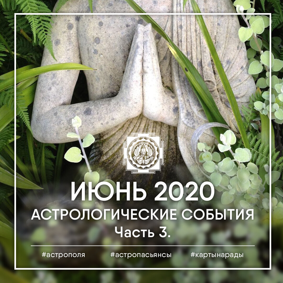 (c) Полина Галимьянова