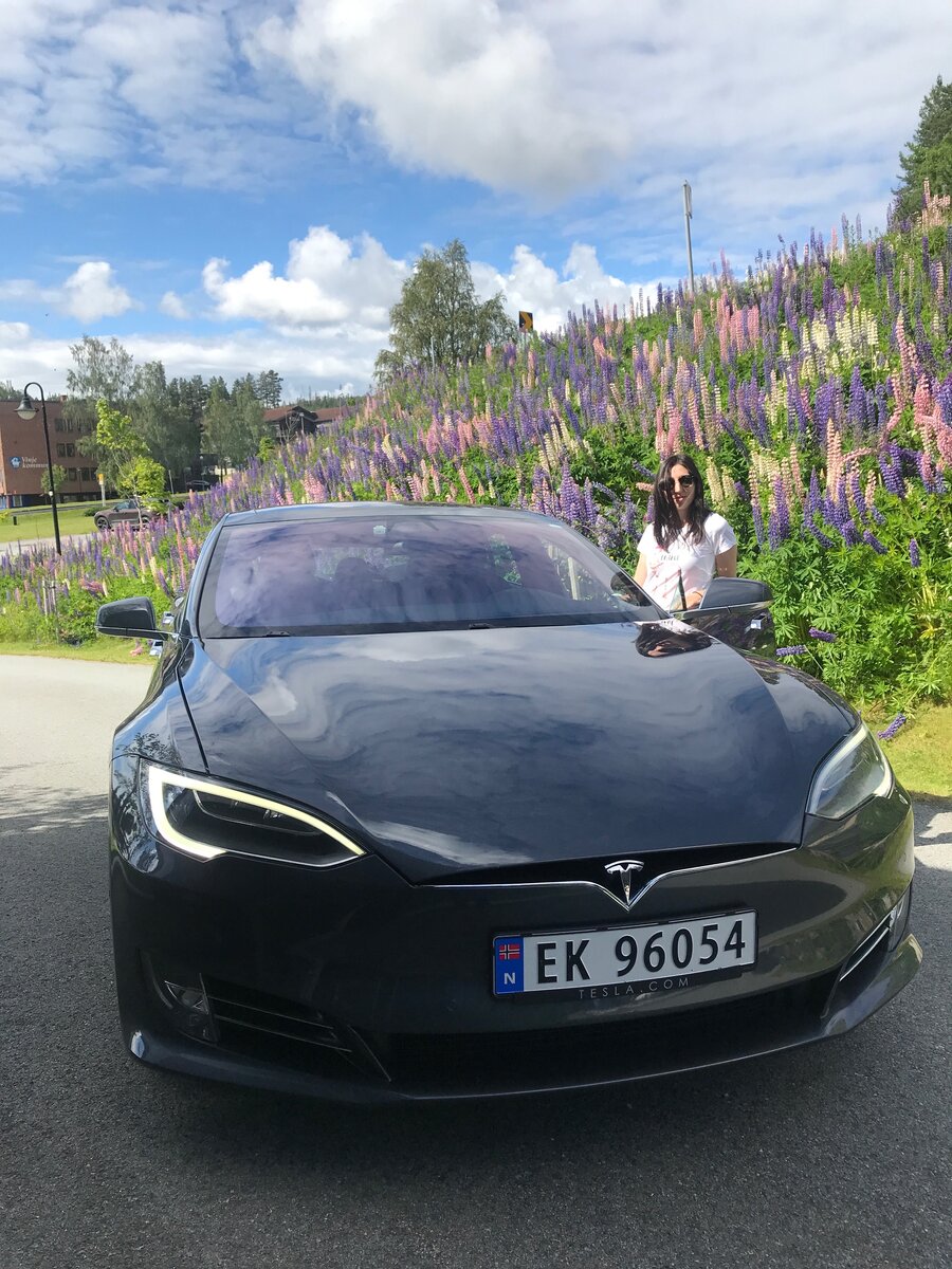 Остановка у люпинов