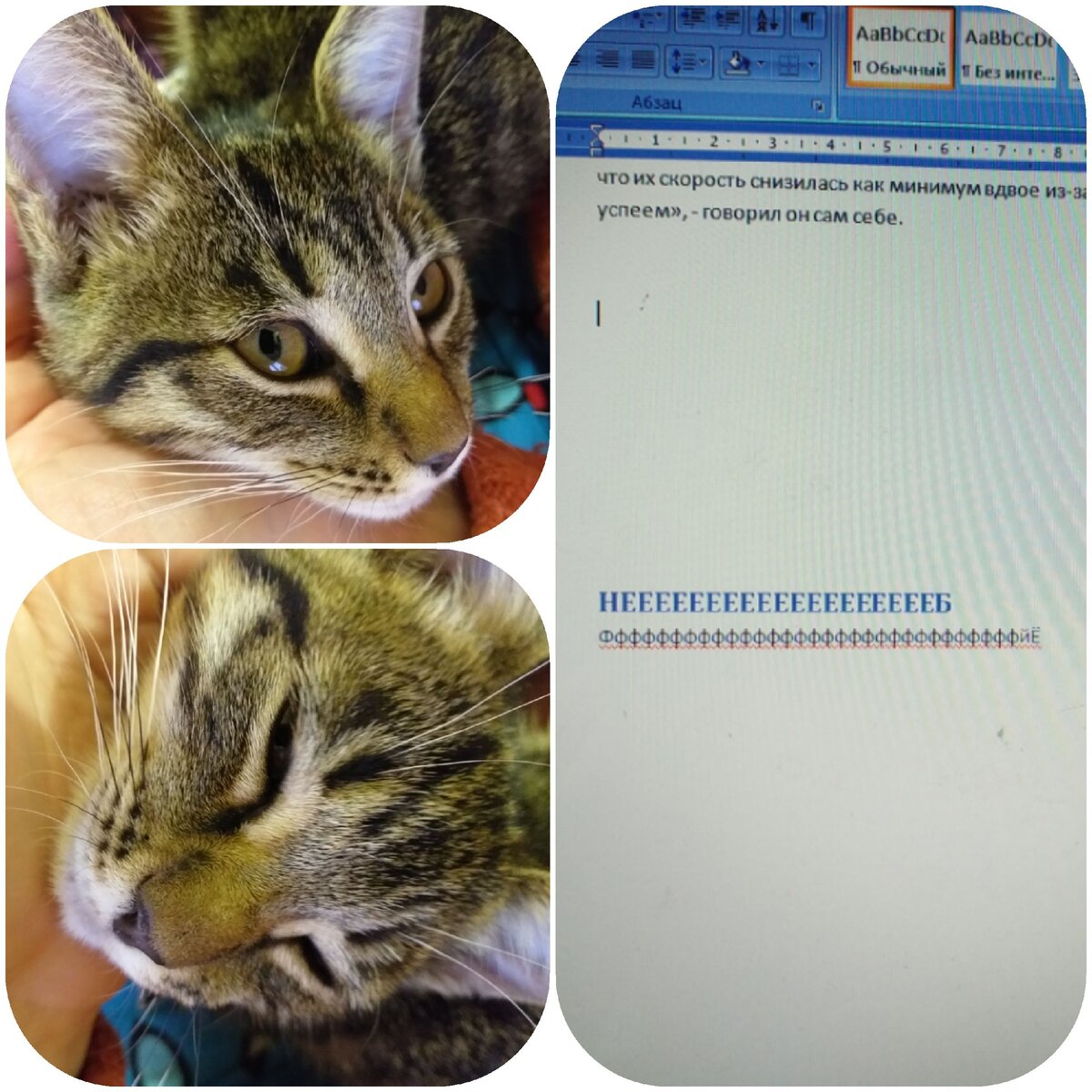 Вот так мне помогает кот. Пожалуй, укажу его в соавторах 😁