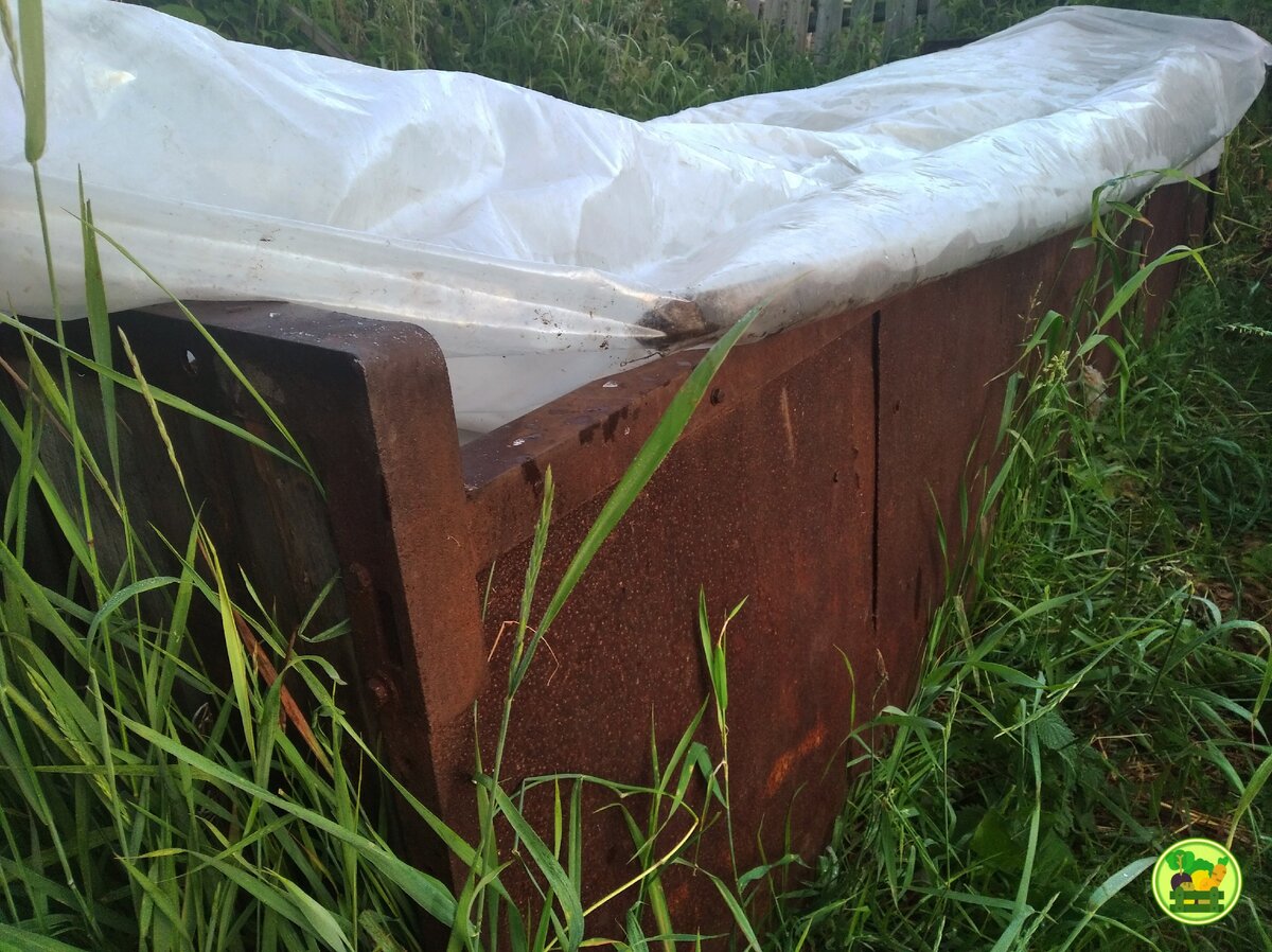 С одной стороны парника стальные листы вместо дерева