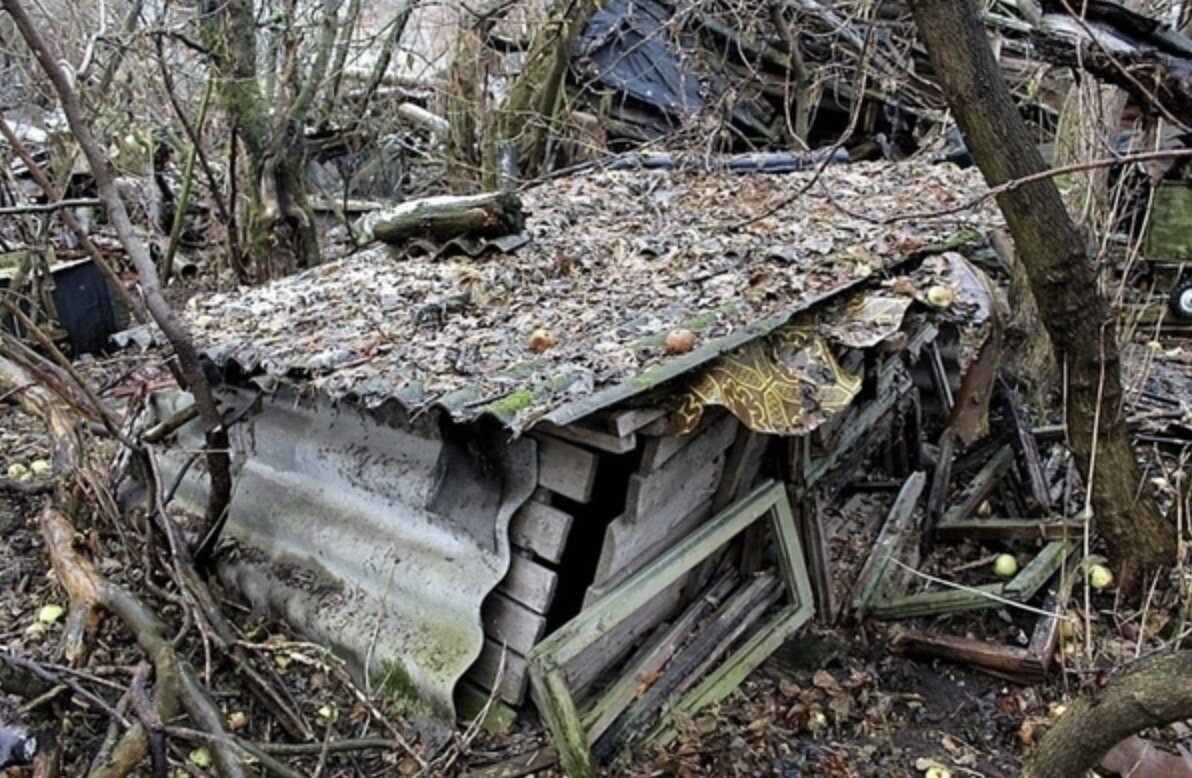 Источник фото: https://vk.com/photo-39236729_457326153?api_access_key=50f5e9d51972af2a47