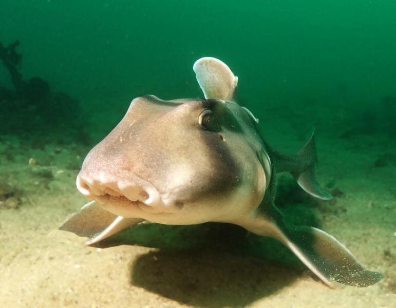 Источник: yandex.ru