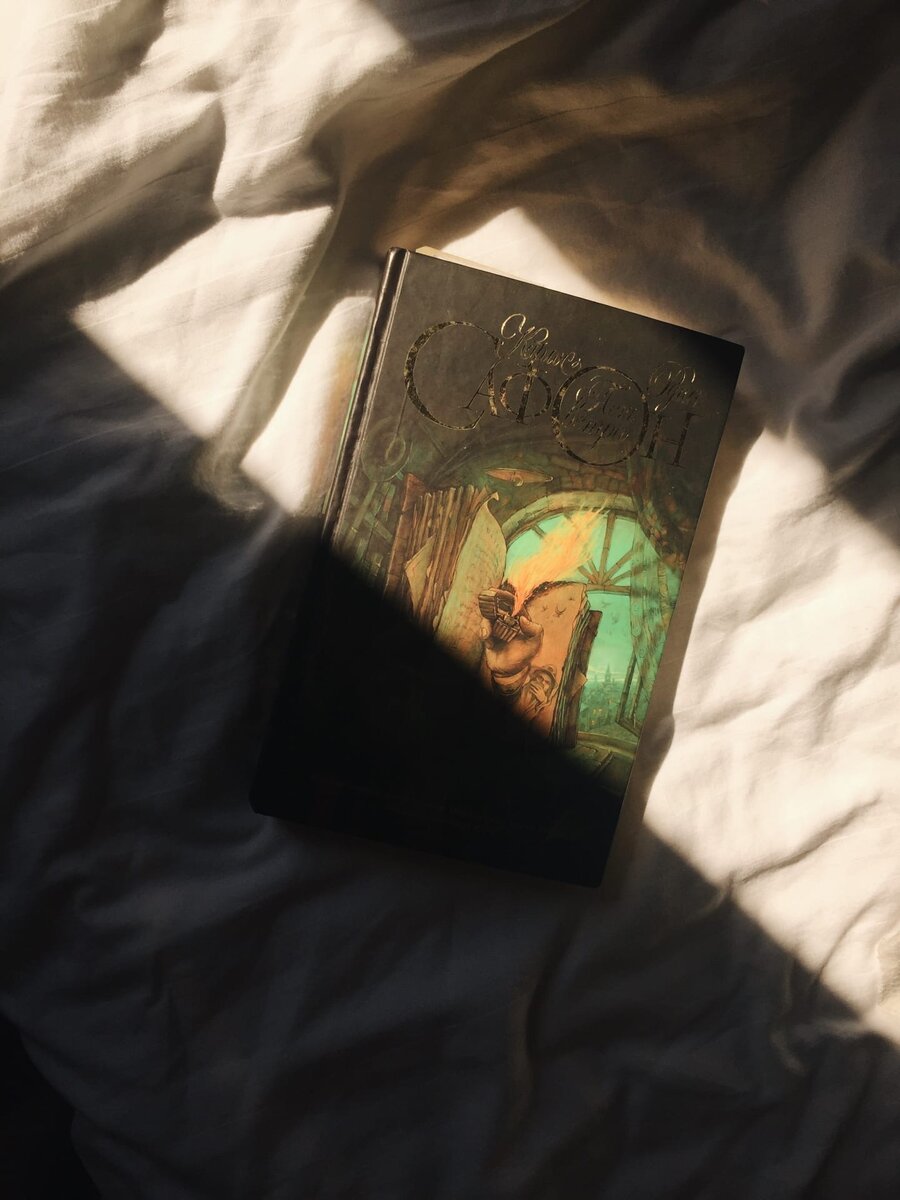 тень ветра карлос руис сафон книга. тень ветра карлос руис сафон иллюстрации. тень ветра карлос руис сафон книга. тень ветра книга. руис сафон тень ветра.