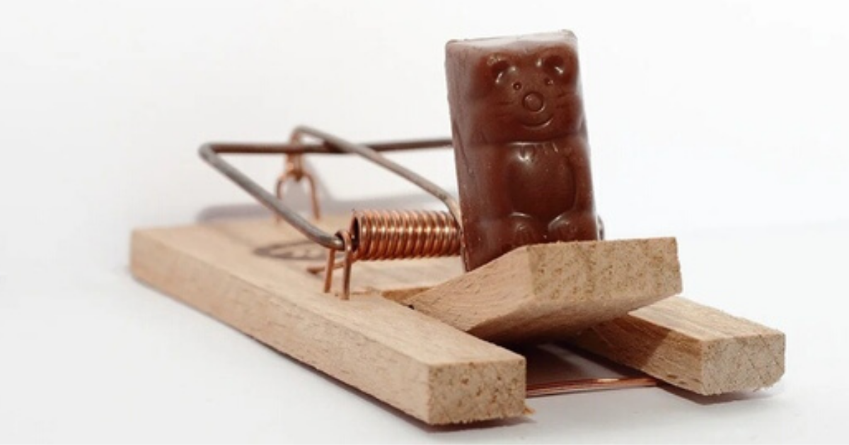 Даже шоколад в мышеловке не бесплатный (фотосток pixabay)