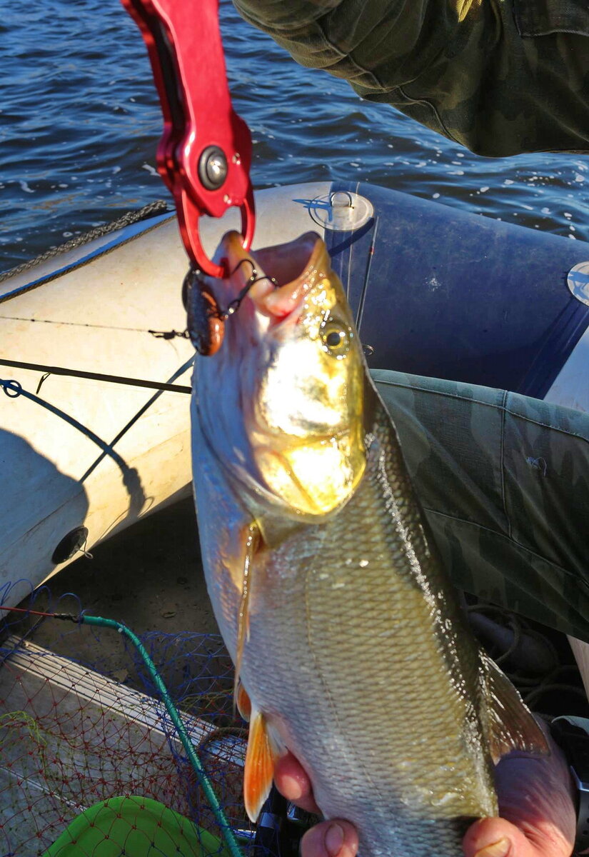 Проводка в пол воды, дала результат.