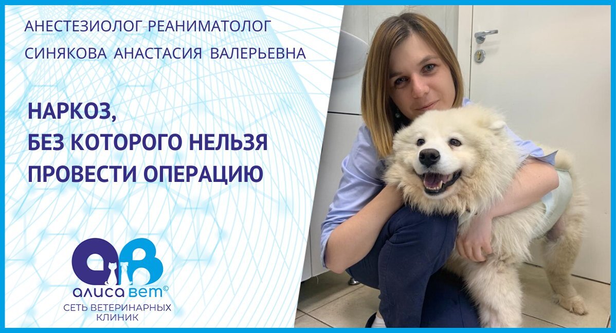 Сеть ветеринарных клиник экспертного уровня «Алисавет»