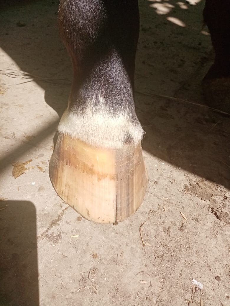 Фото прислал подписчик канала Виктор. Он и подтолкнул написать статью.