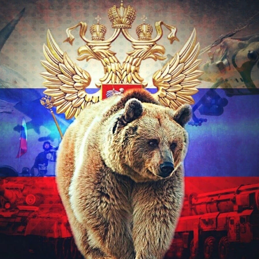 С какими животными ассоциируются разные страны и какое животное – символ России: мое мнение