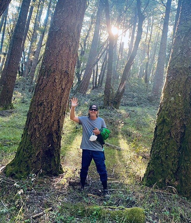 Источник фото https://www.instagram.com/larsulrich/