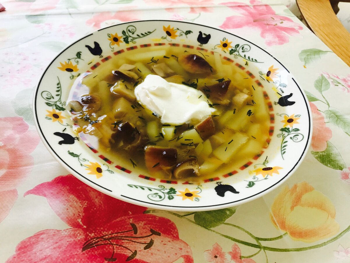 Суп из свежих грибов – Вся Соль - кулинарный блог Ольги Баклановой