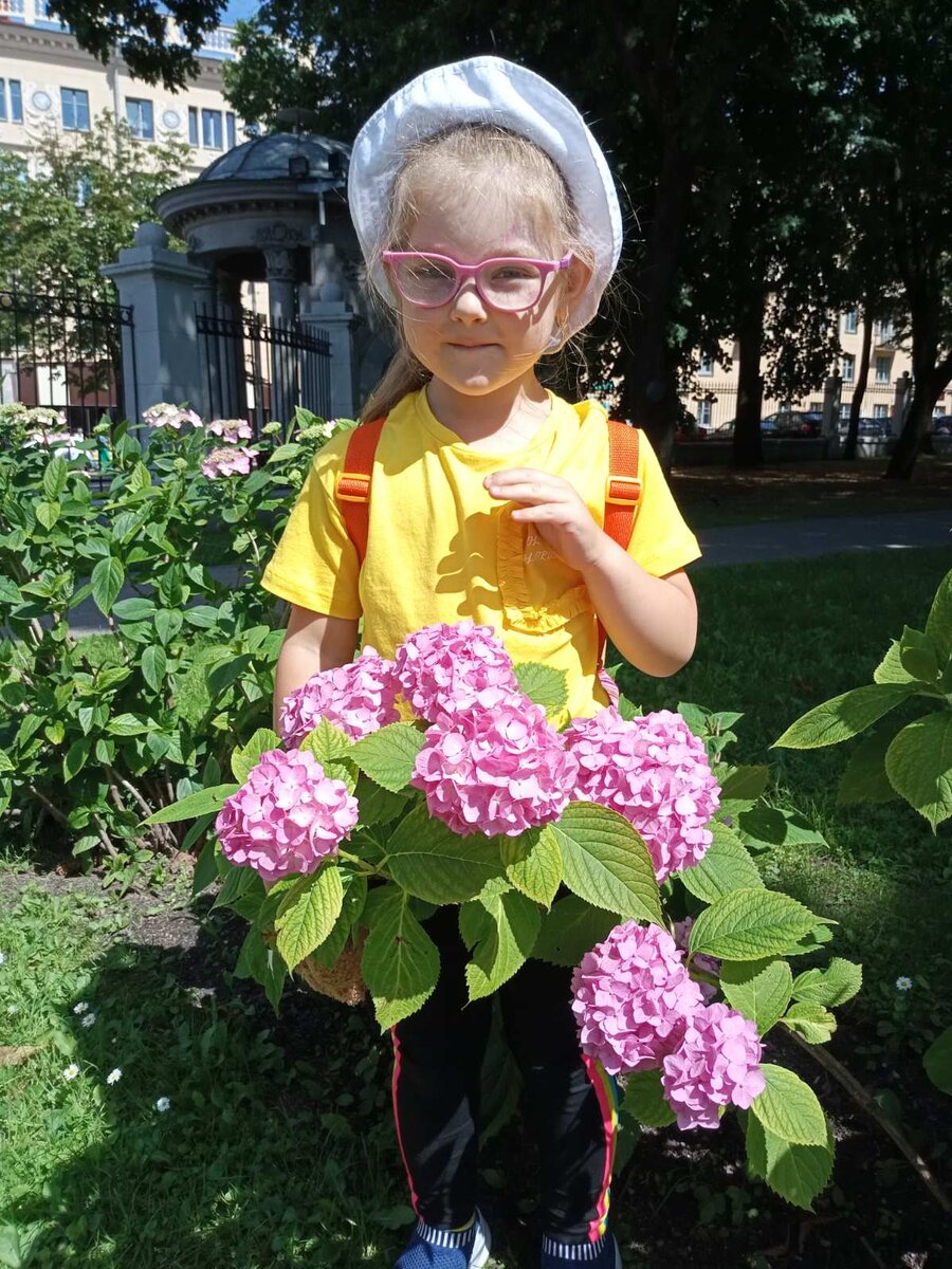 Сорт Пинк Даймонд 