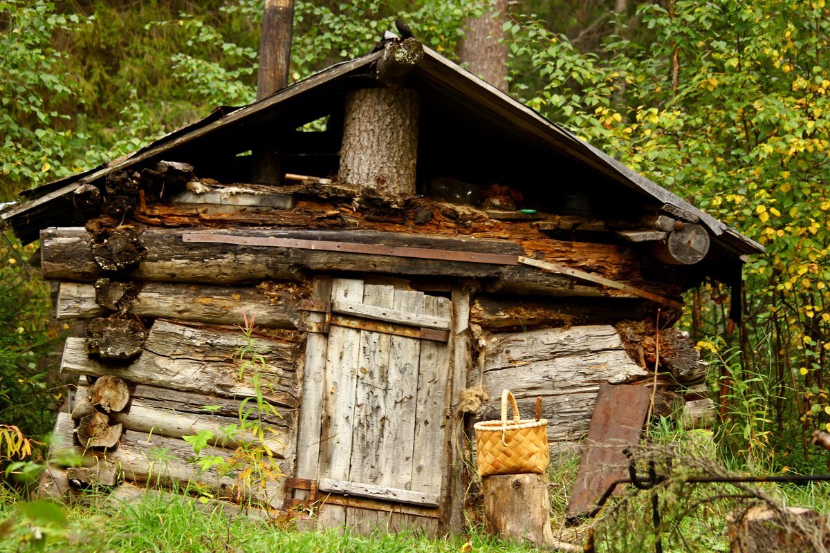 картинка взята с сайта Яндекс-картинки