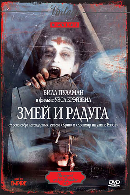 Обложка DVD фильма “Змей и радуга”