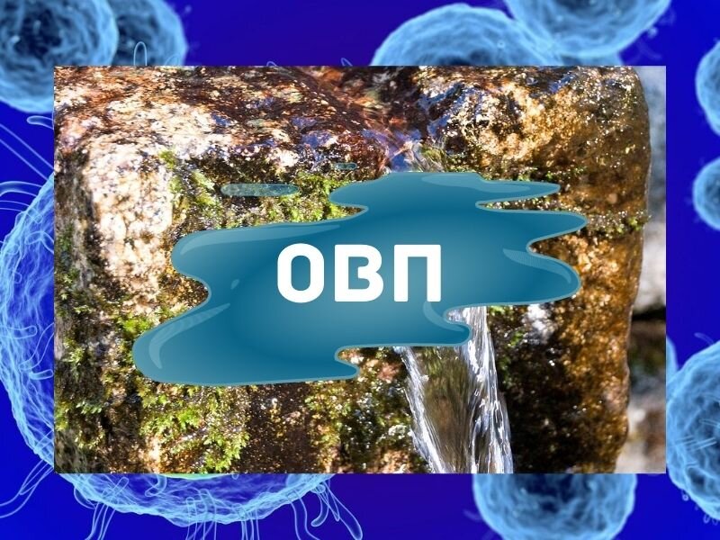 Окислительно-восстановительный потенциал