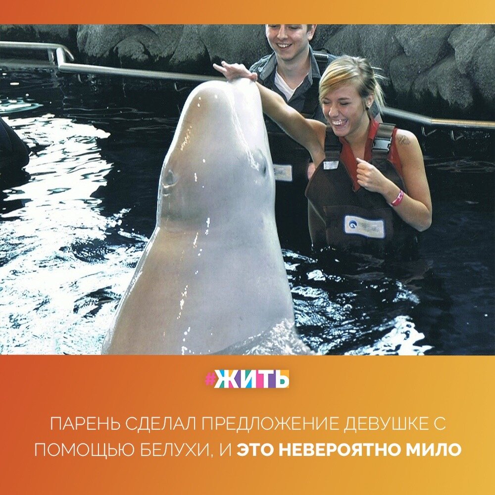 Предложение руки и сердца - это, пожалуй, один из самых трогательных и волнующих моментов в жизни влюбленных. И некоторые подходят к этому ритуалу весьма ответственно, с большой фантазией и изрядной долей юмора❤️☀️

Сегодня мы предоставим Вам одно из самых необычных предложений руки и сердца, которое доказывает: в наше время тоже есть рыцари💓

Надеемся, что семейная жизнь у этой пары будет счастливая и интересная, как и этот день😌

#жить #проектжить