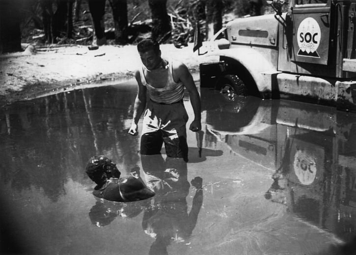 "Нелегкая это работа - из болота тащить бегемота!" © К.И. Чуковский