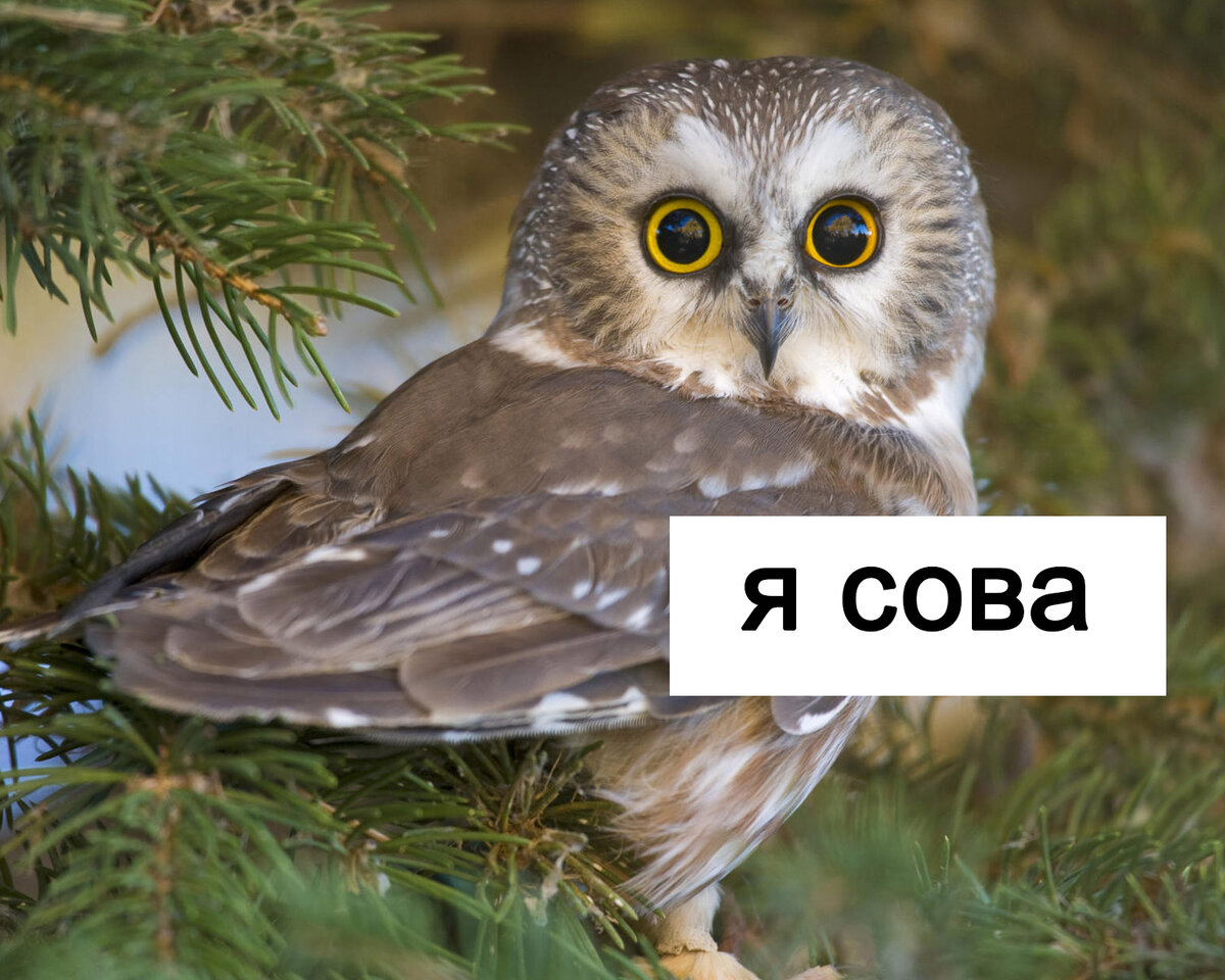 Источник фото: wallpaperscave.ru