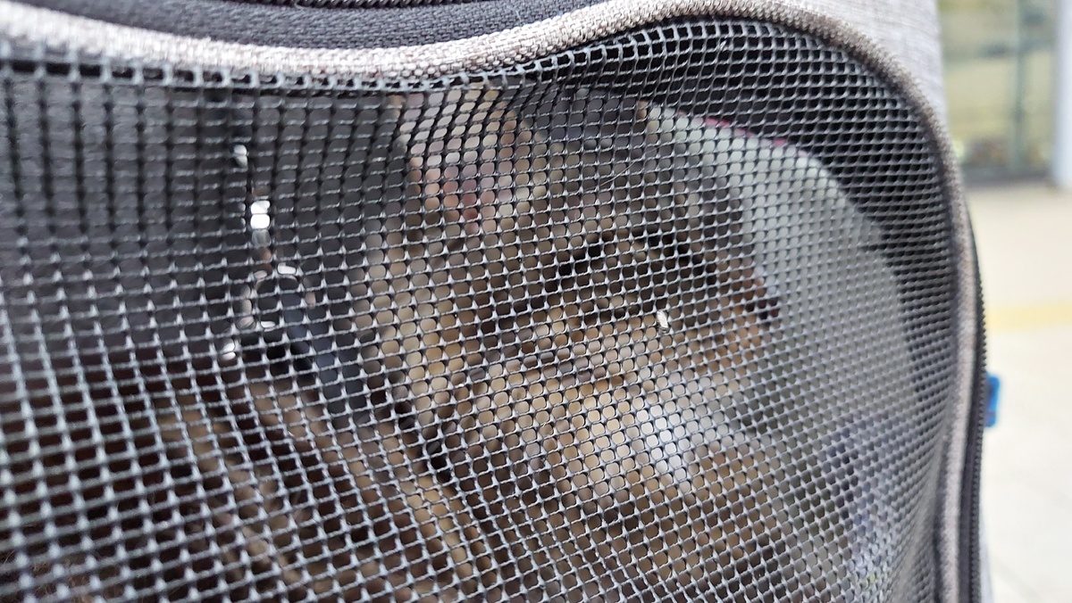 Рея в переноске