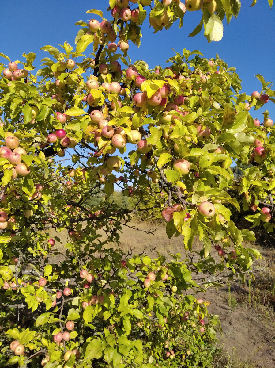 Фото из личного архива.