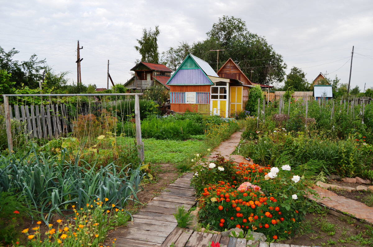 На нашей даче