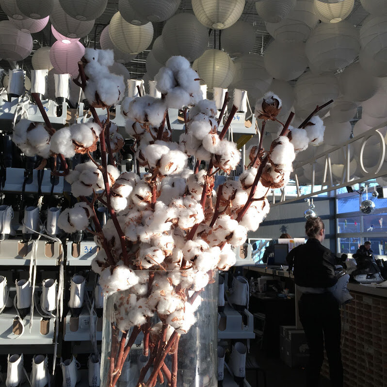 Фото автора. Букет из хлопчатника.