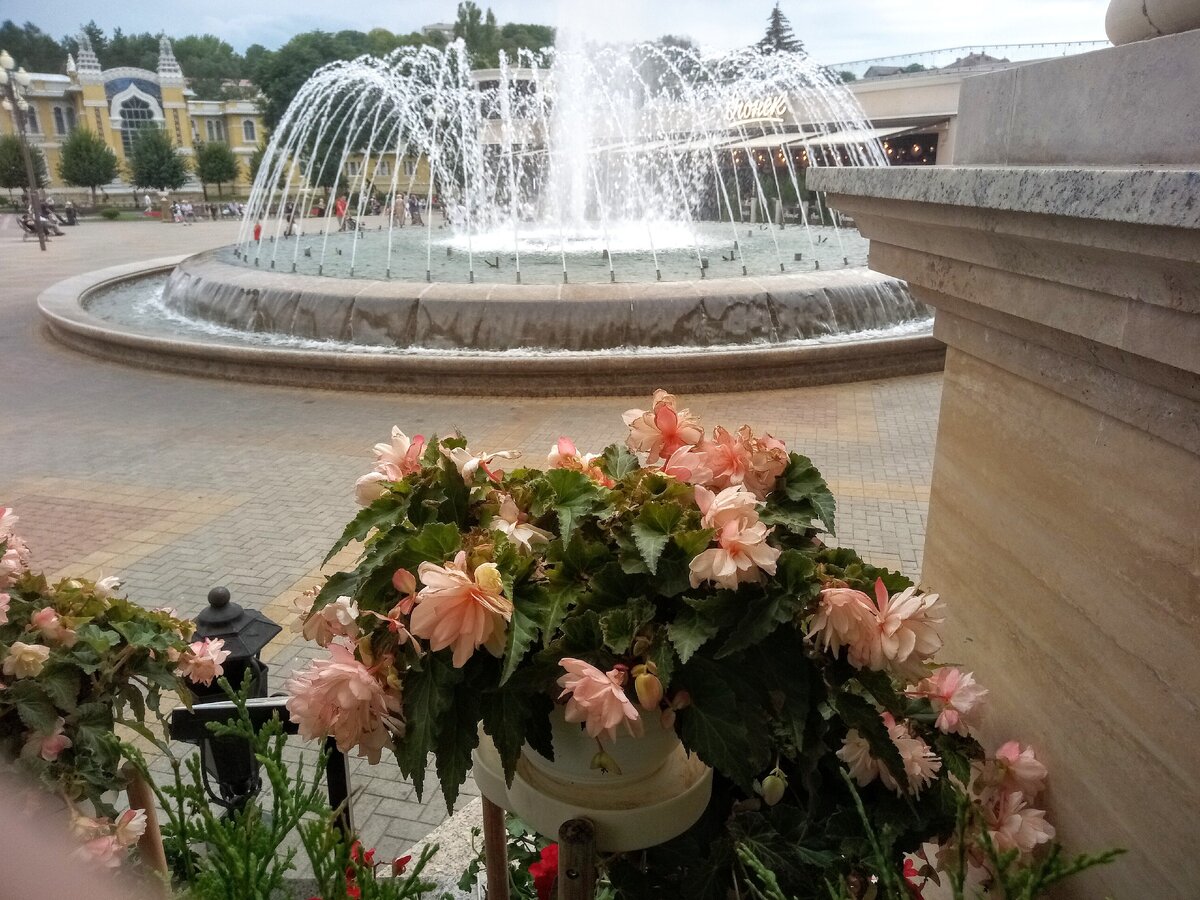 Куст лососевого цвета ампельной бегонии перед фонтаном