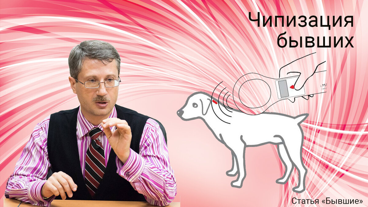 Чипизация бывших