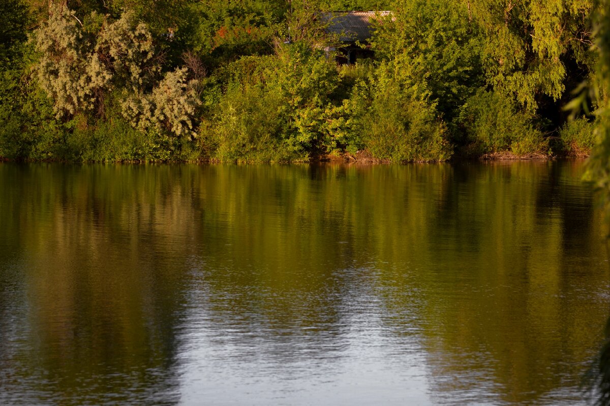 Canon 550D + Tamron 70-200mm f/2.8