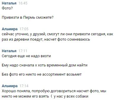 ассортимент - лишнее слово, Т9)))