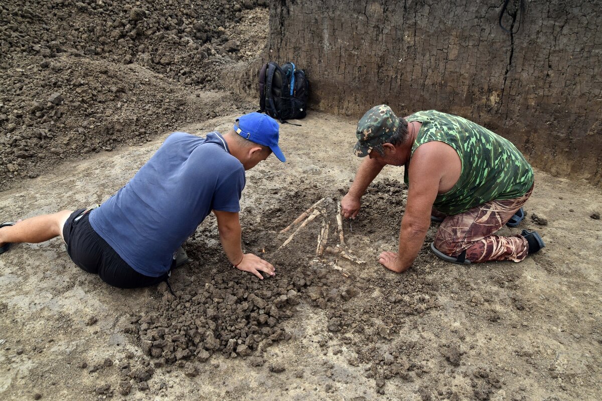 В Крымском районе работают несколько археологических экспедиций | Новости  Крымского района | Дзен