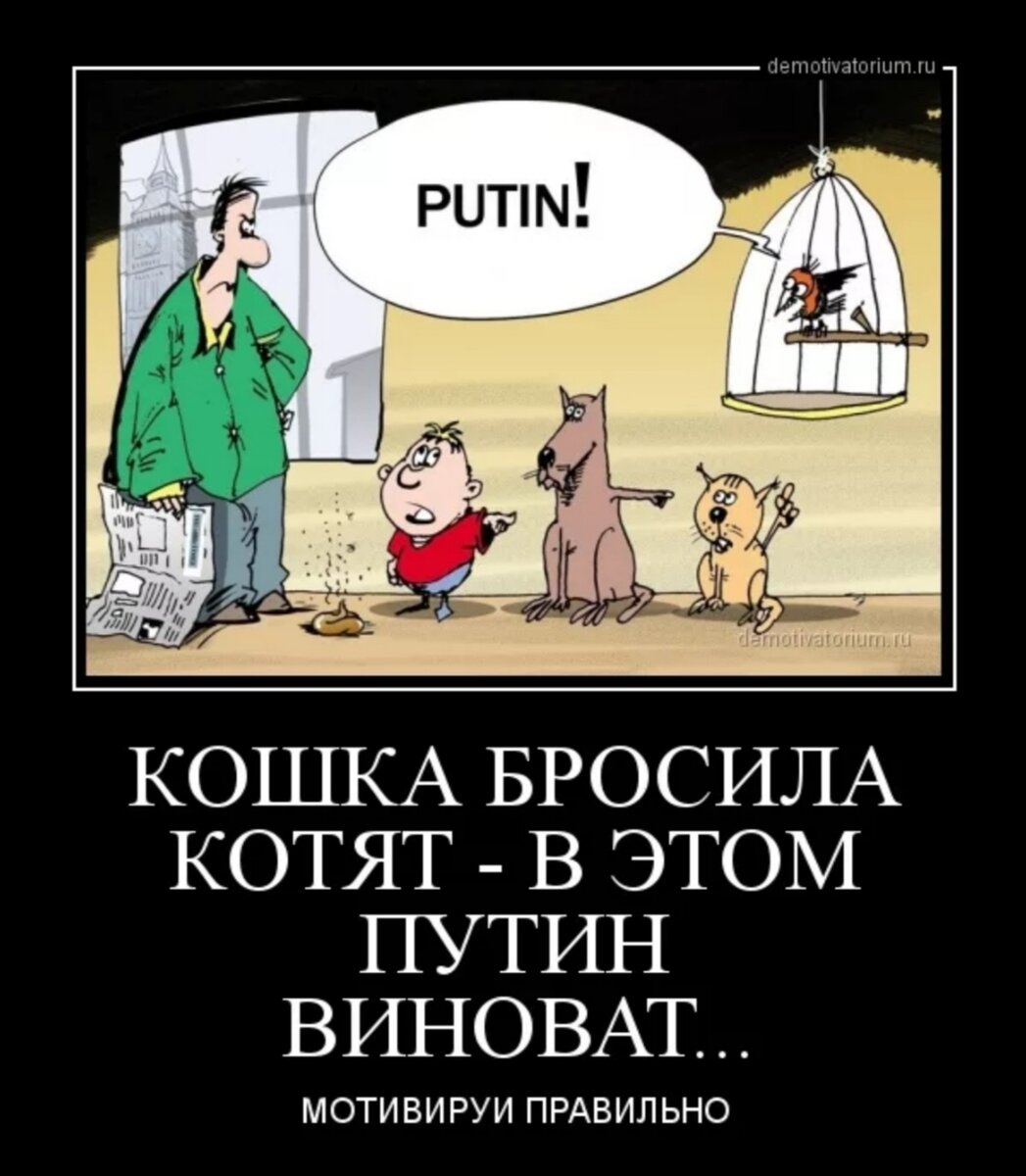 Яндекс. Картинки