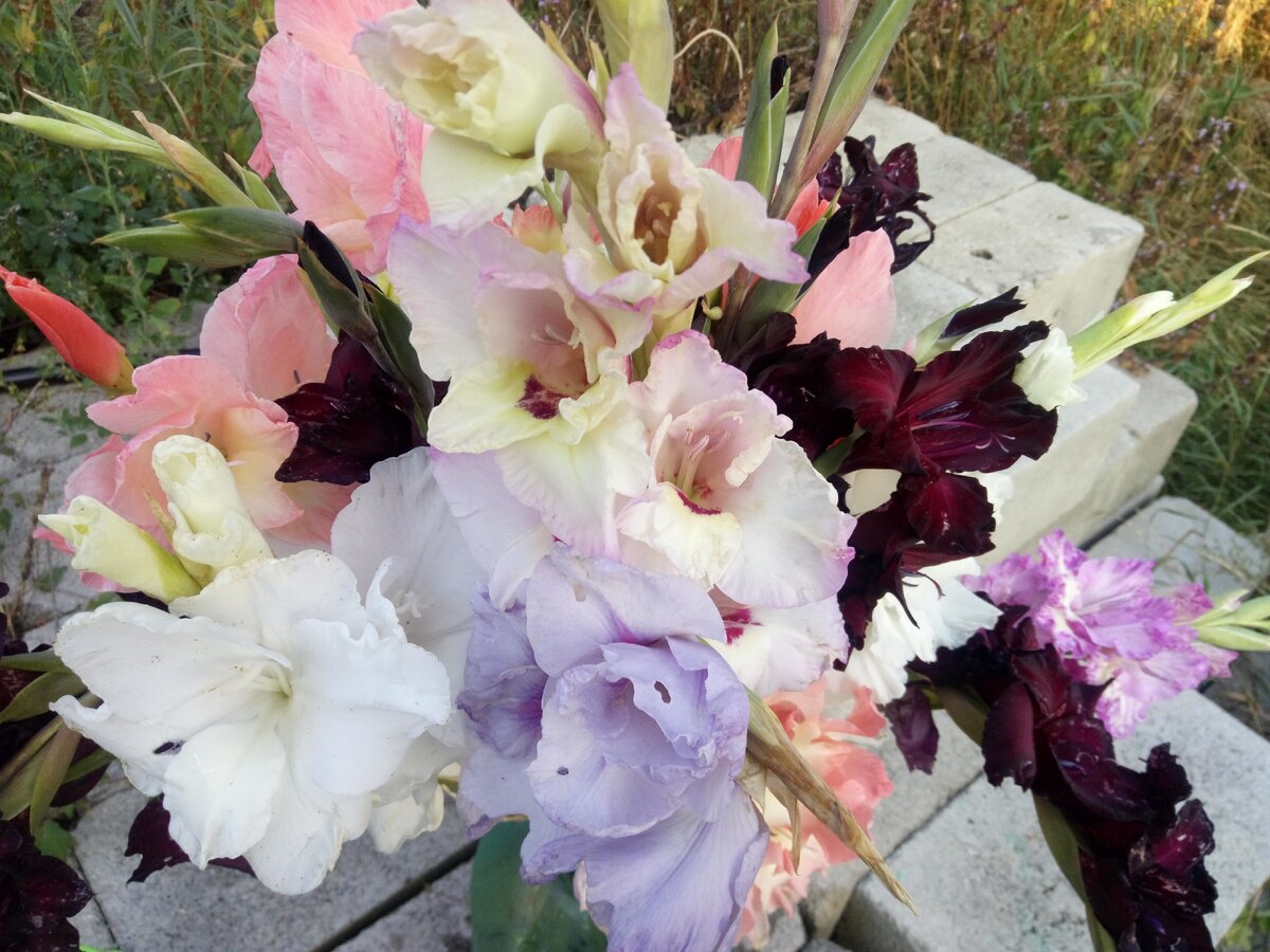 Букет для первоклассника