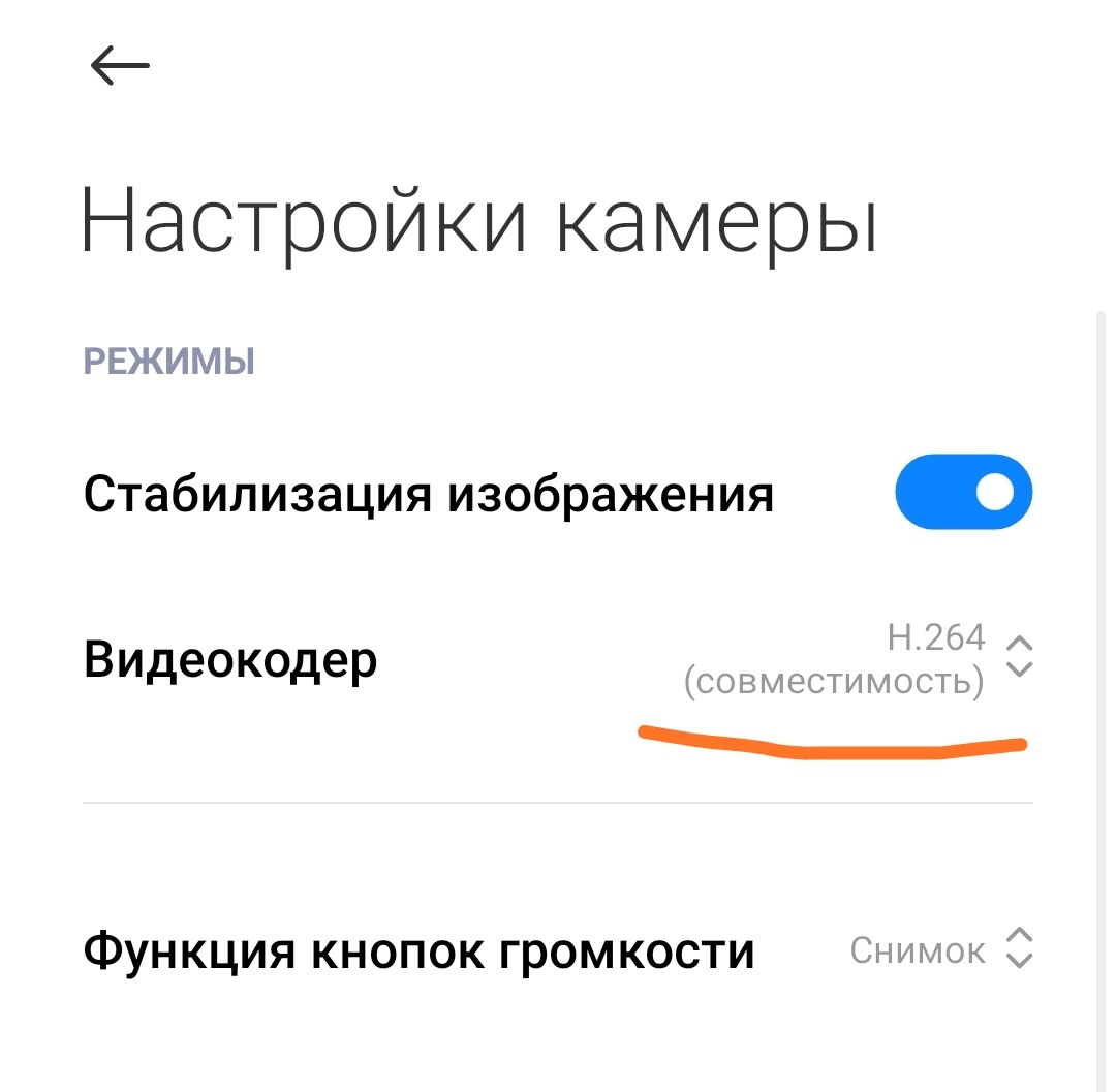Проверьте настройки кодека Вашей камеры. 