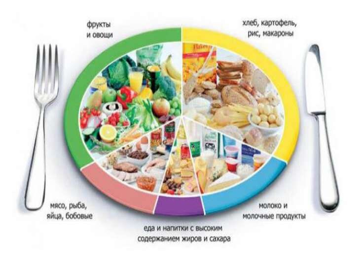 норма питания