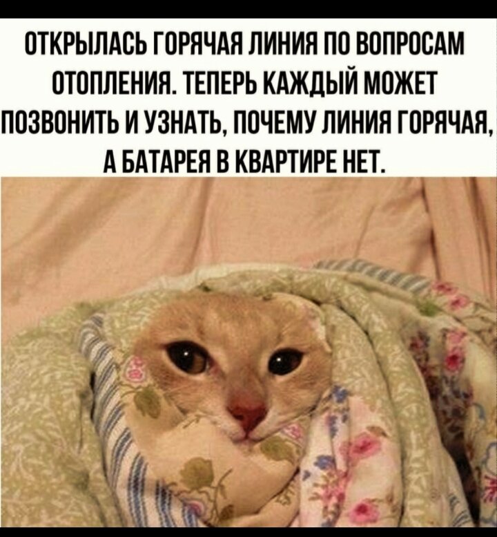 Яндекс картинки 