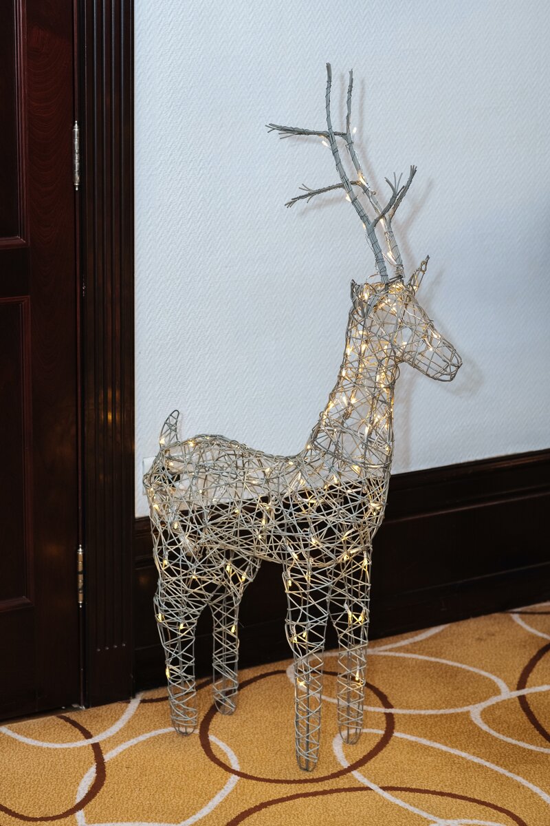 Фото с нашего мероприятия