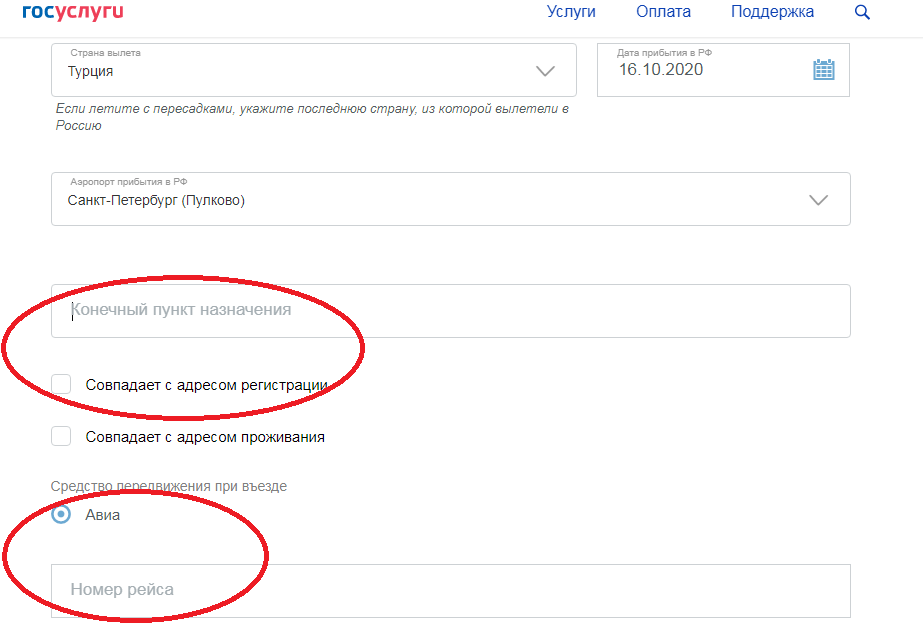 Госуслуги как правильно заполнить анкету. Анкета госуслуги. Как заполнить анкету на госуслугах. Номер рейса в анкете на госуслугах. Анкета по прибытию из за границы на госуслугах.