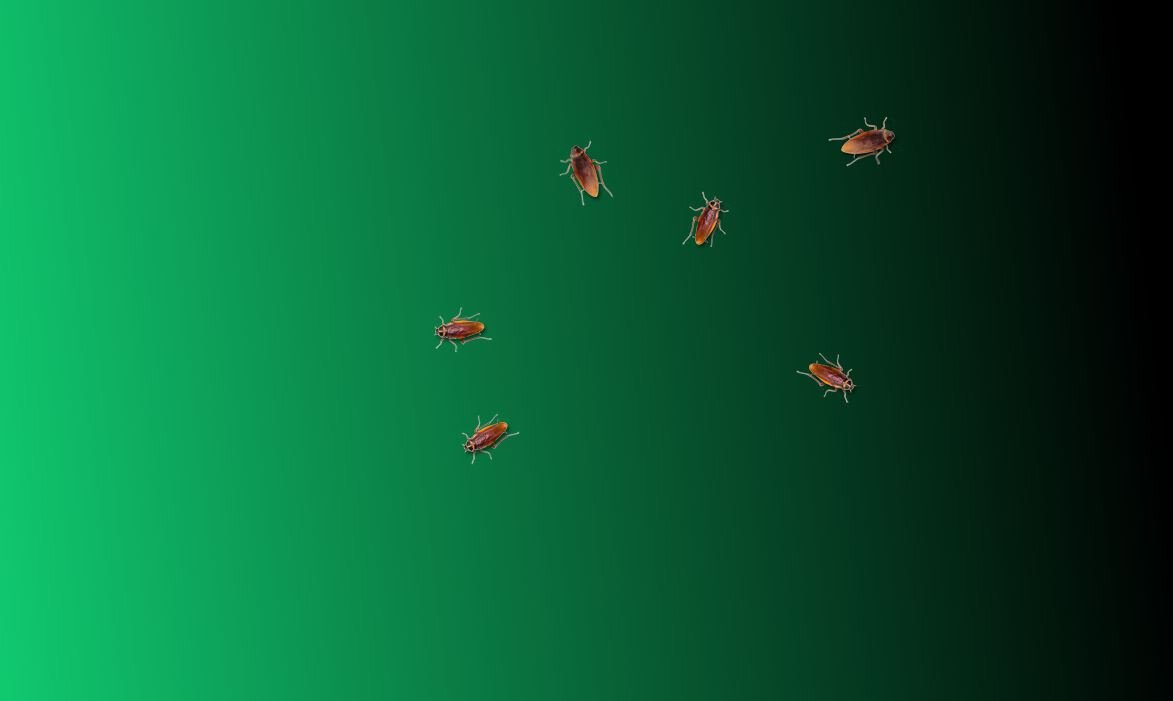 Cockroach on Desktop