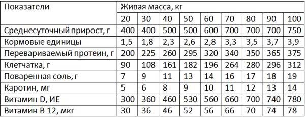 РЕКОМЕНДАЦИИ ПО КОРМЛЕНИЮ СВИНЕЙ ЗА И ПРОТИВ!!!!!