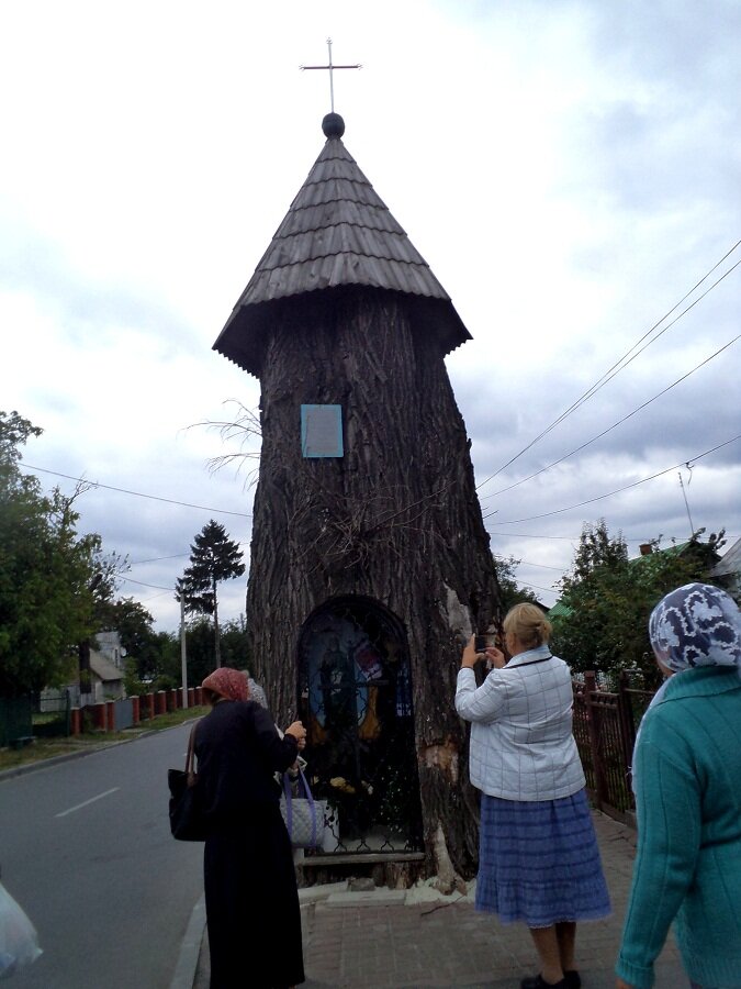 Часовня в стволе липы. (мое фото)