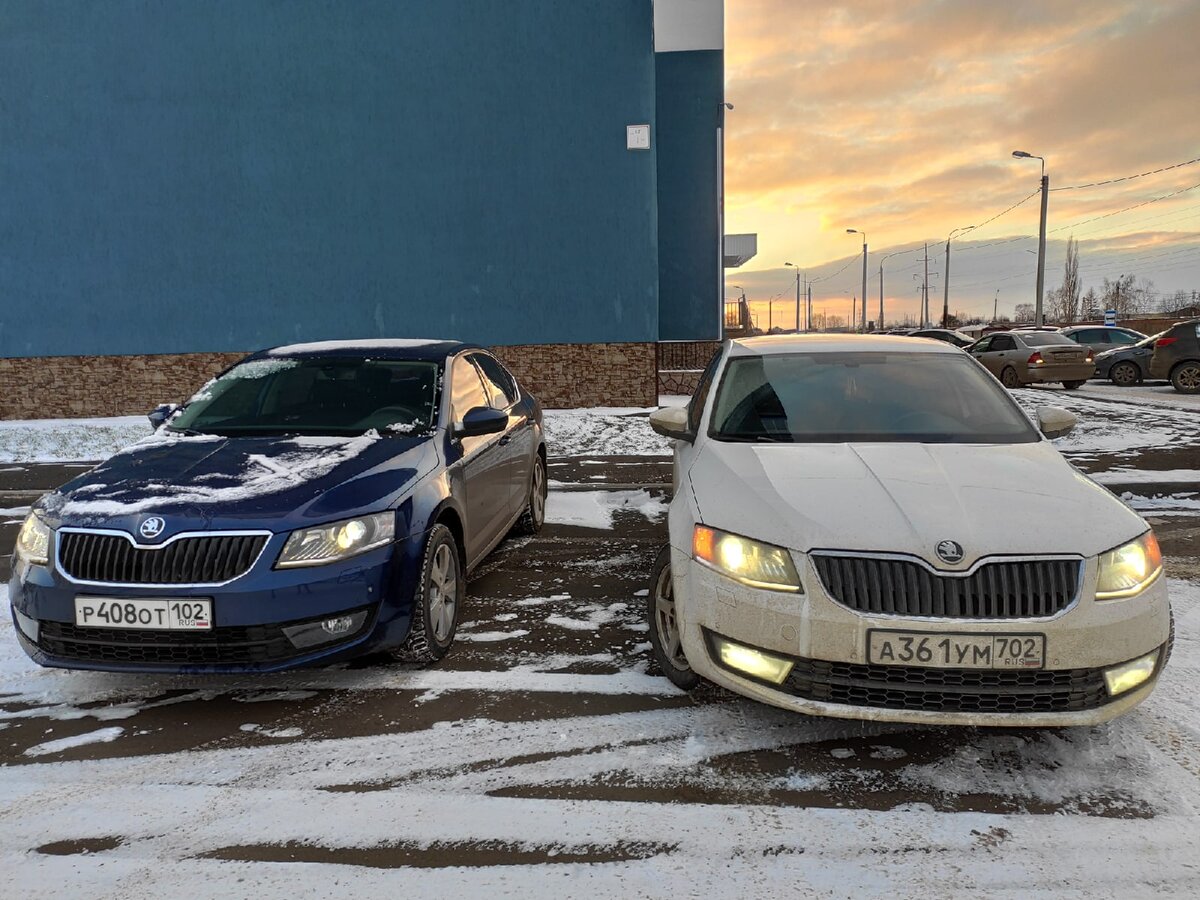 Skoda Octavia A7 - неожиданные отличия чешской сборки от российской