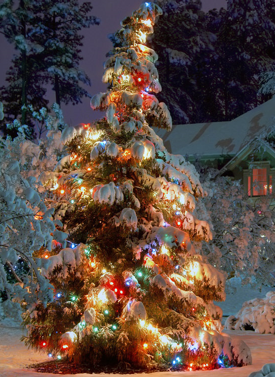 Всех люблю!!)))