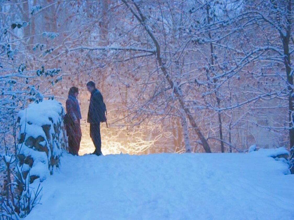 И увидела падает снег. Зимнее свидание. Прогулка в зимнем лесу. Двое зимой. Зимние встречи.