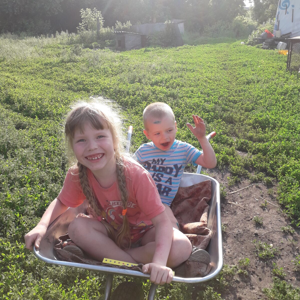 Катание на тачанке