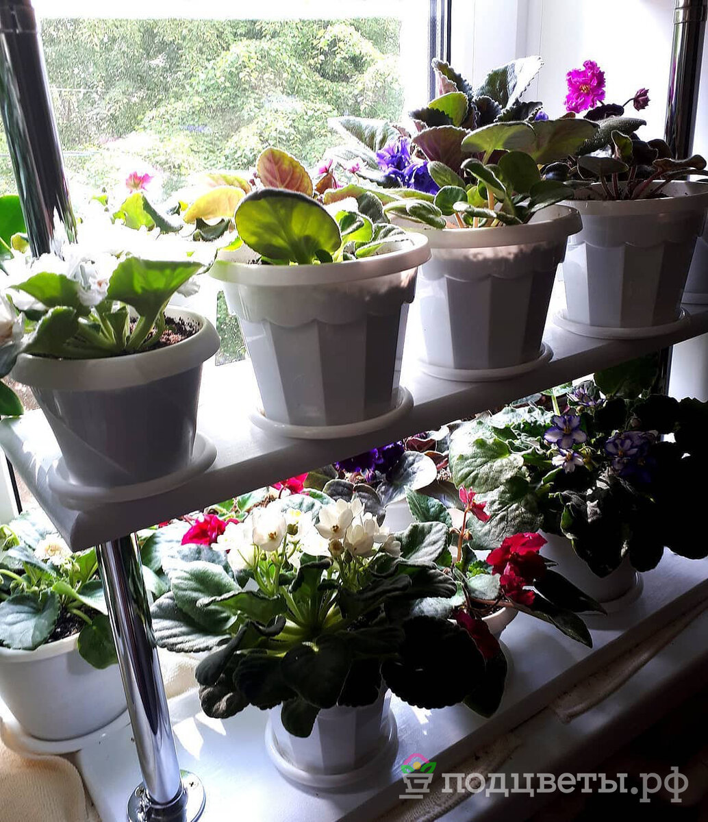 Подставка Чако увеличивает пространство подоконника и выглядит как мебель