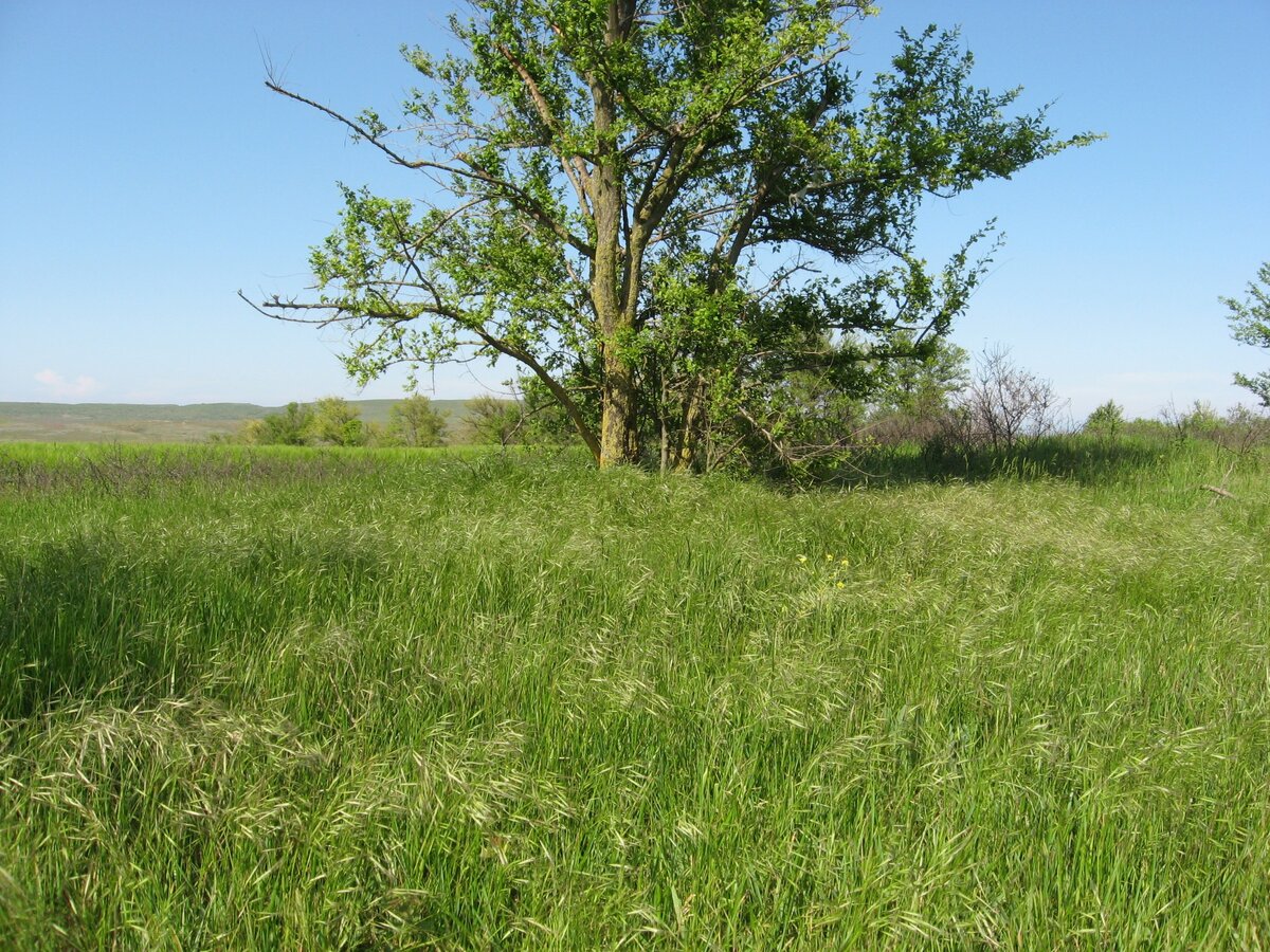 Фото из личного архива