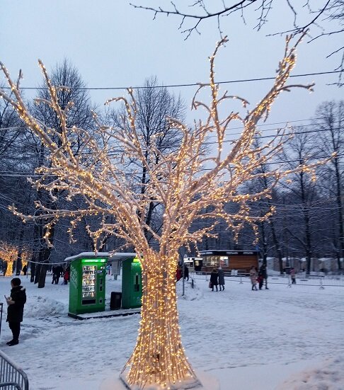 Это - антидерево. Оно похоже на настоящее, даже красивее. Но это - не дерево.